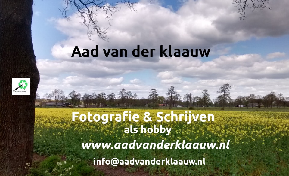 Go to Aad van der Klaauw's profile