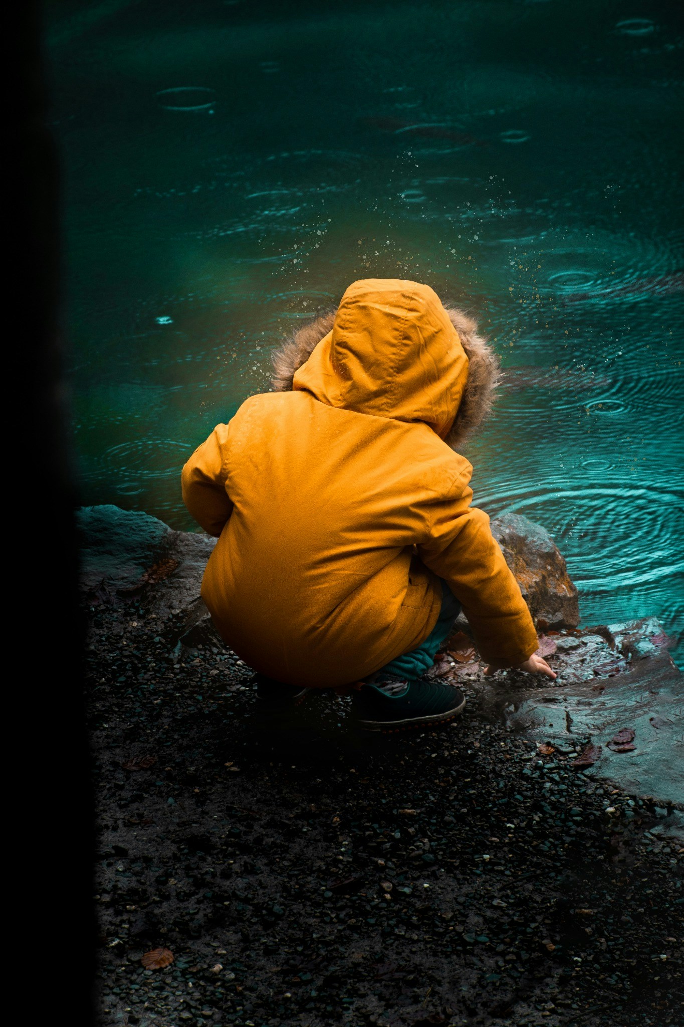 Accéder au profil de Silvan Steiner