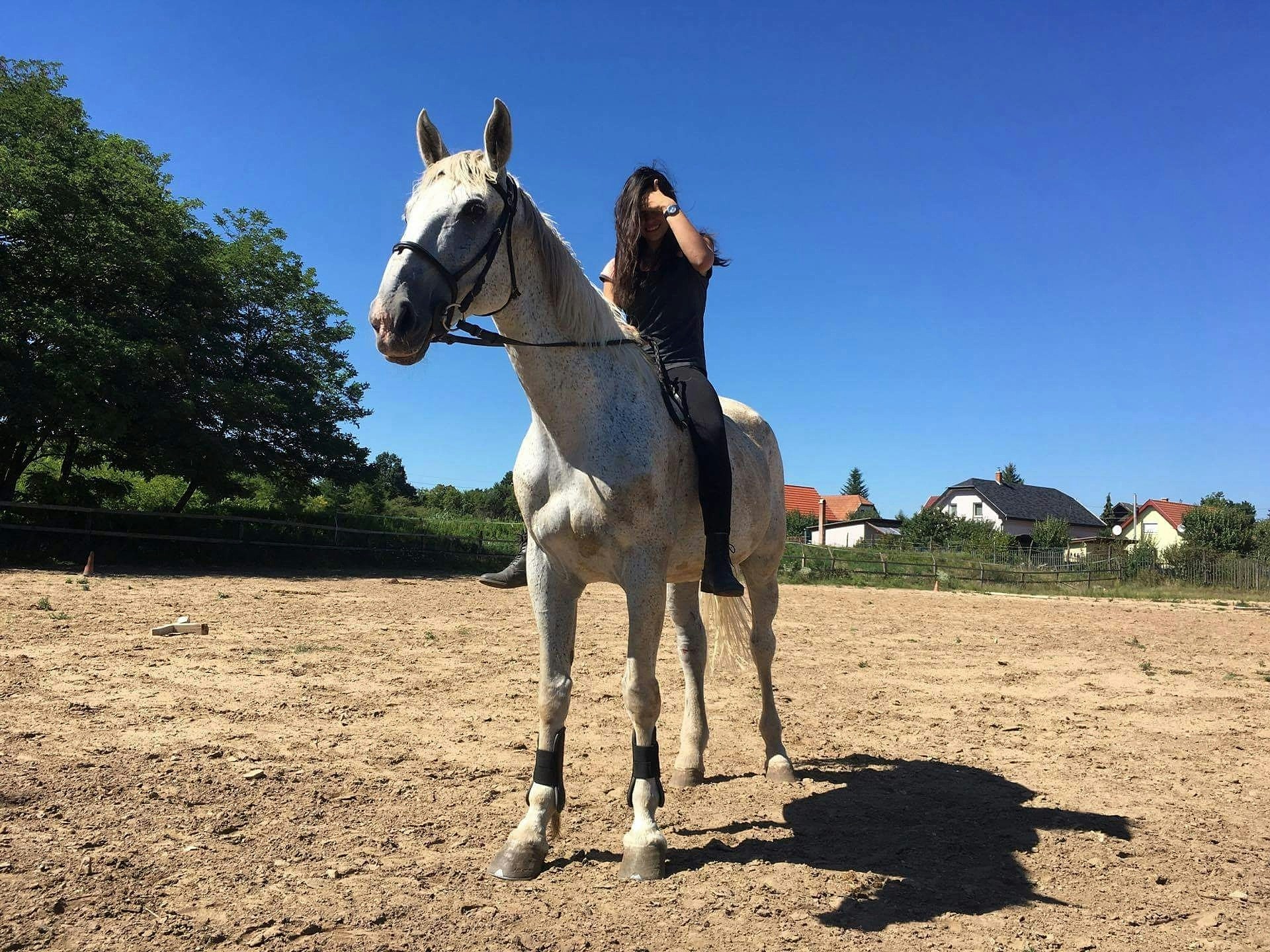 Go to Emese Tóth's profile