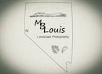 Avatar of user M. B. Louis