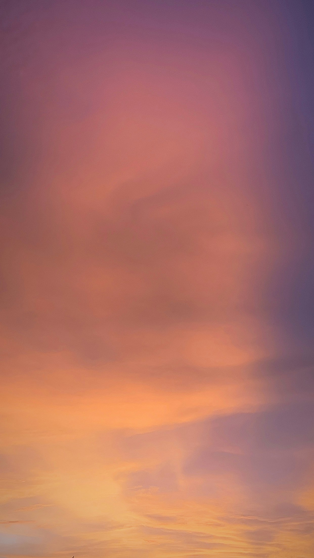 Go to Om Mistry's profile