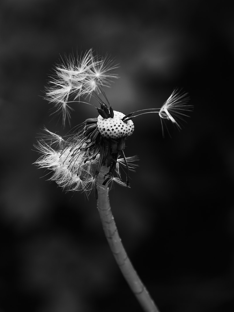 Go to Kathy's profile