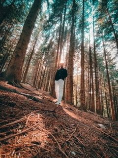 Go to Angelo Kaluarachchi Gamage's profile