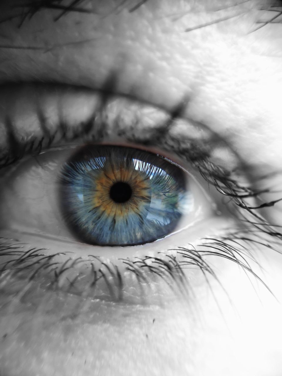 Go to Isabel Déniz's profile