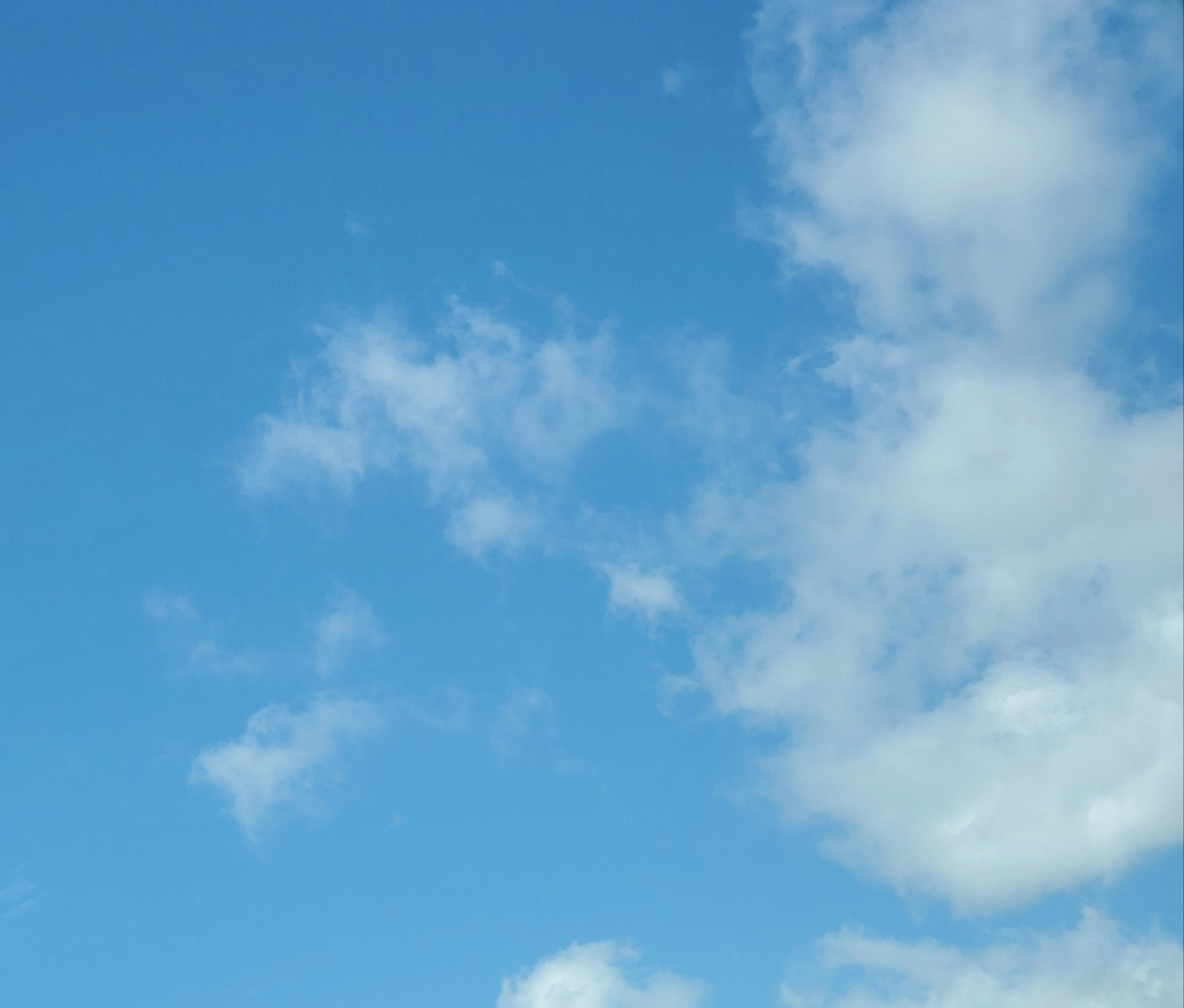 Go to Jean D's profile