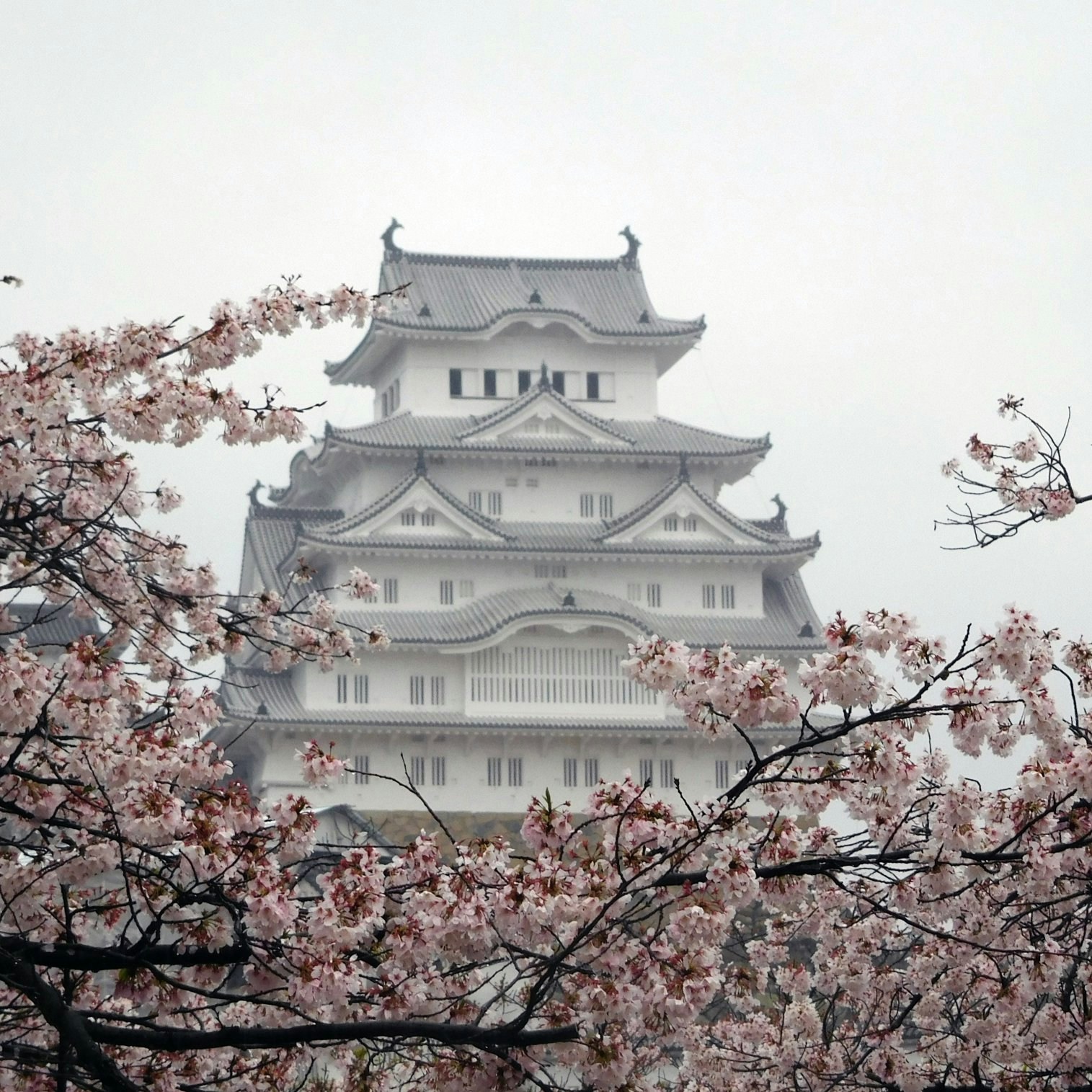 Accéder au profil de Kojirou Sasaki