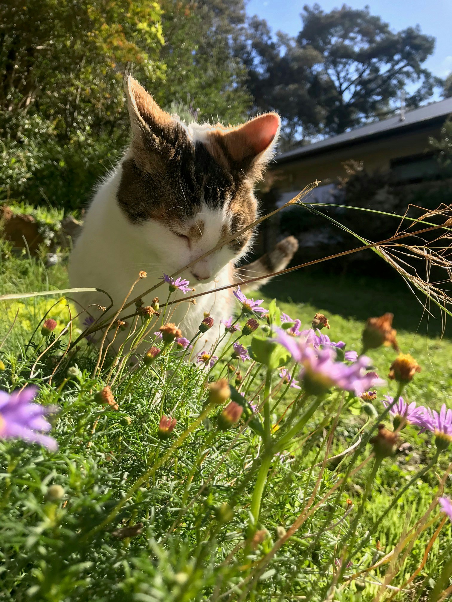 Go to Tilda Foletta's profile