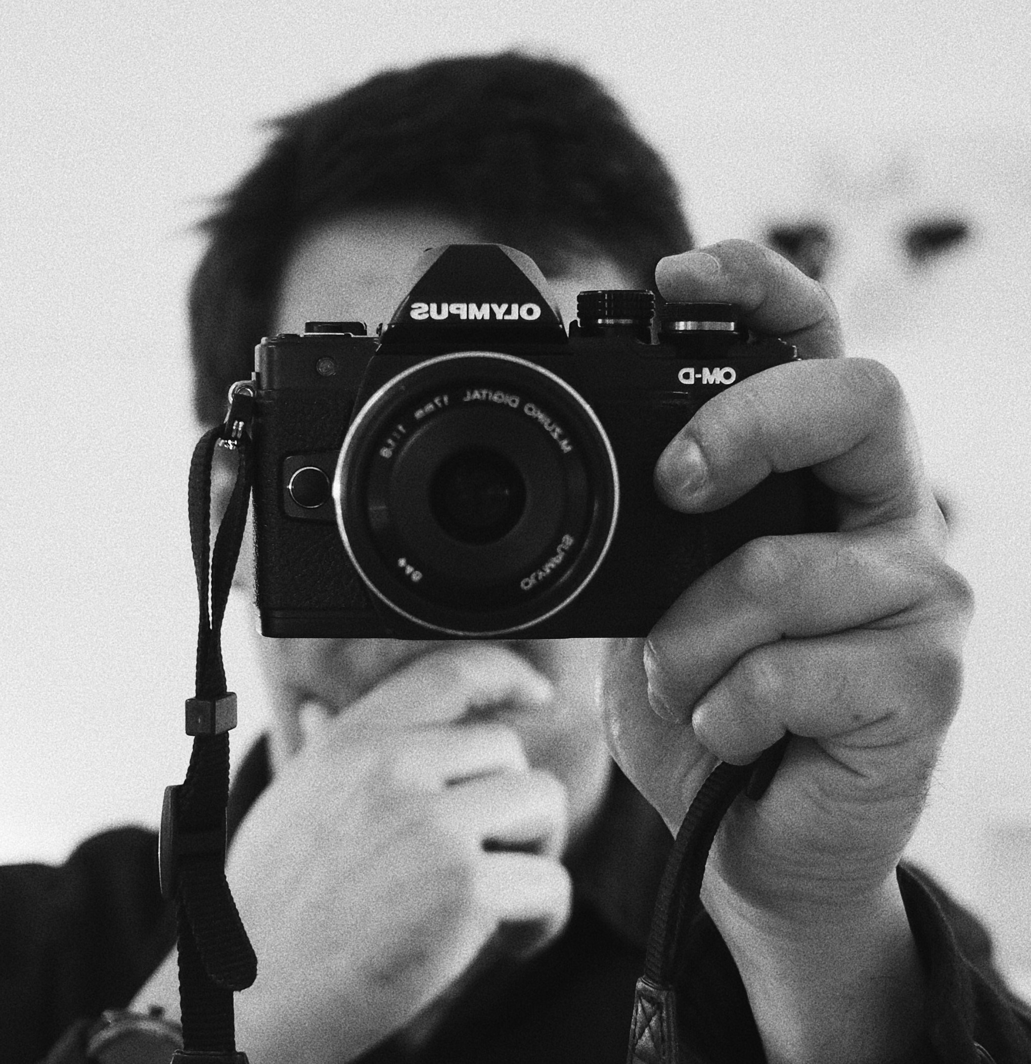 Zum Profil von Afonso Vieira