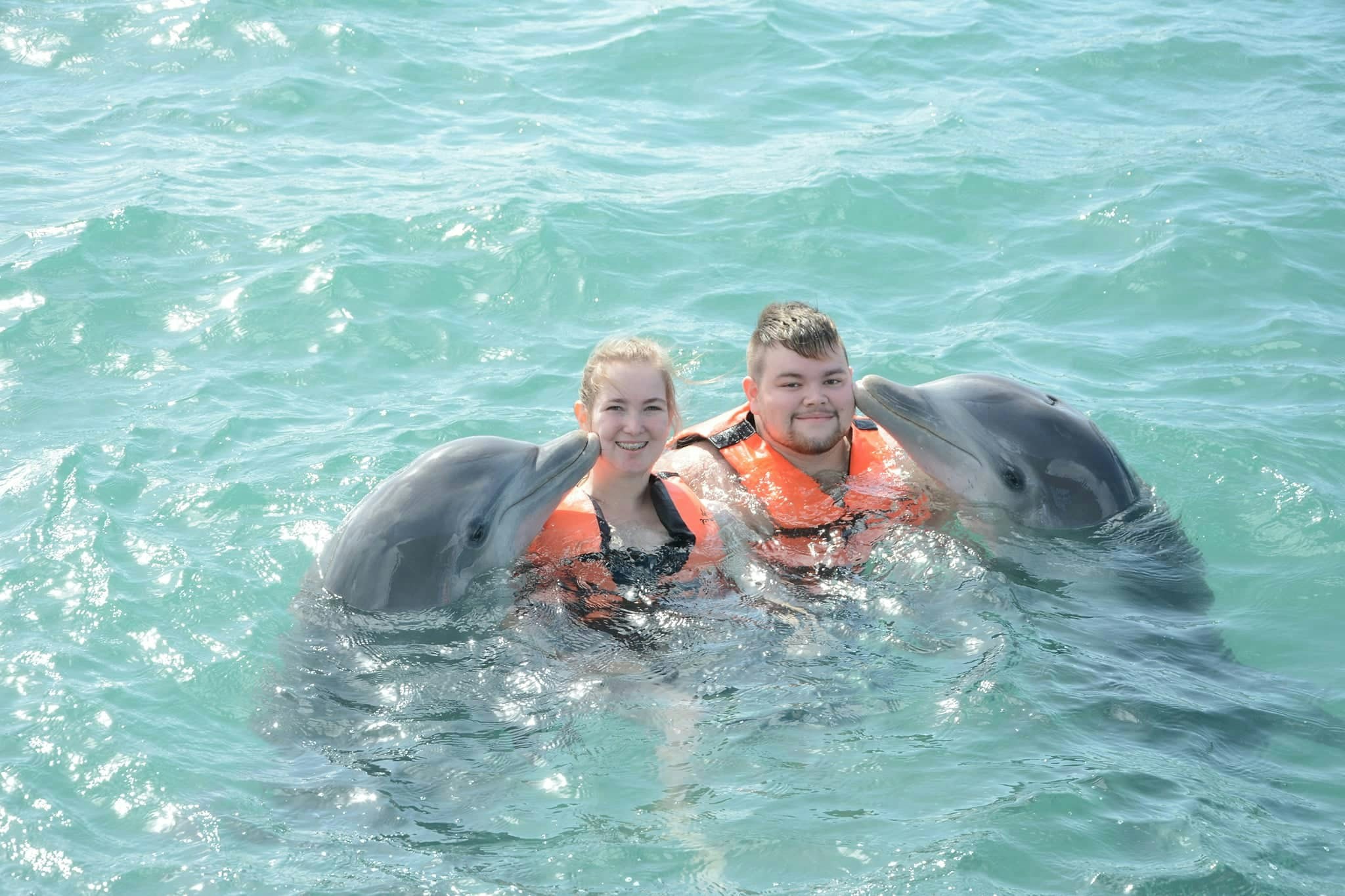 Go to amanda panda's profile