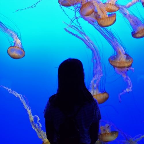 Go to kate estes's profile