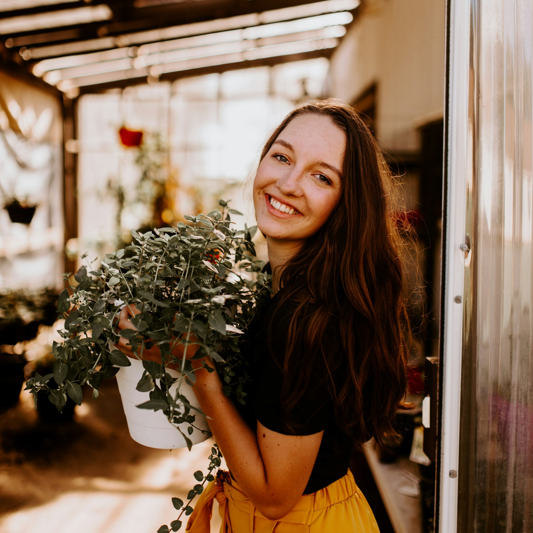 Abbey Gravesのプロフィールを見る