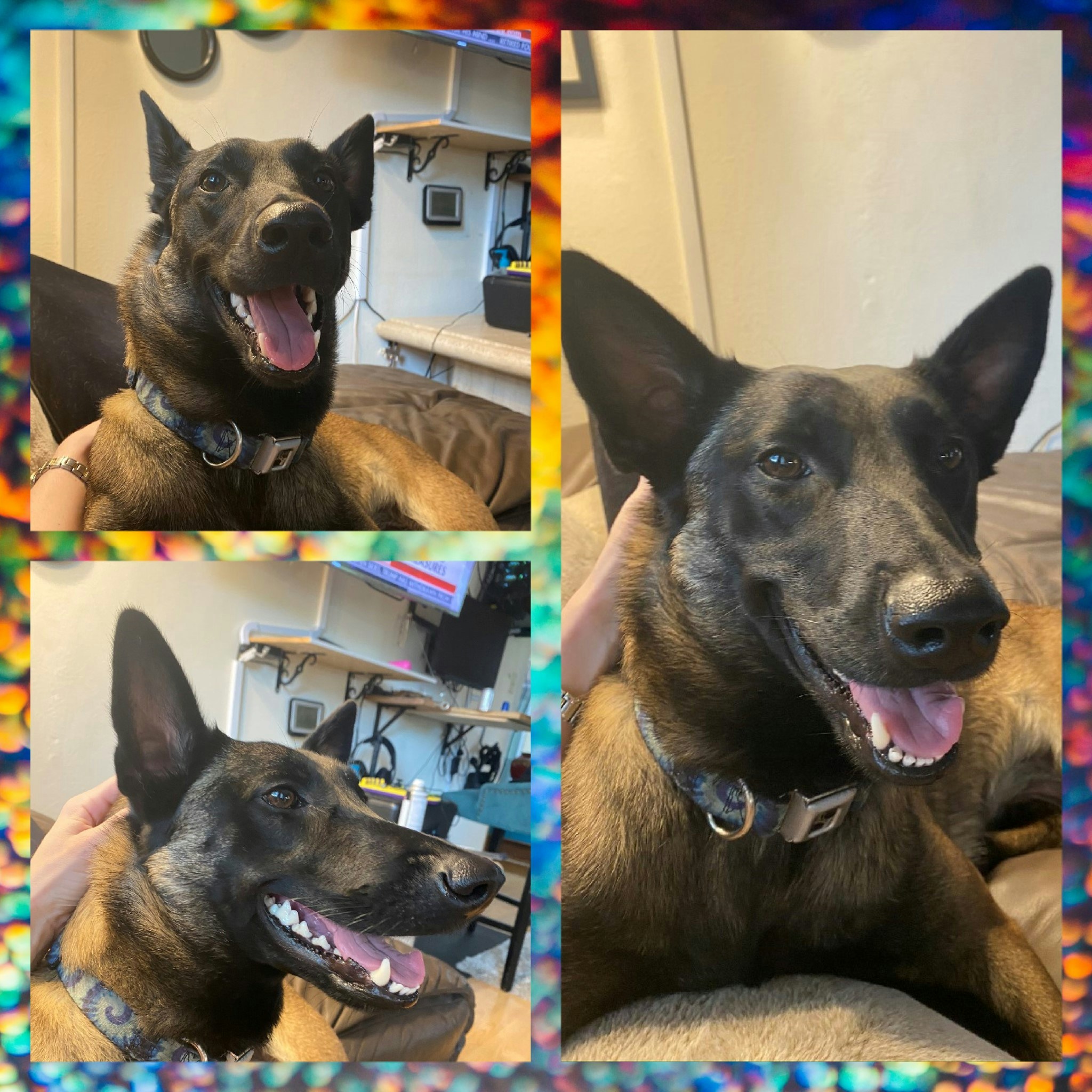 Go to Katie Payne's profile