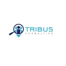 Unsplash profile picture for @tribus