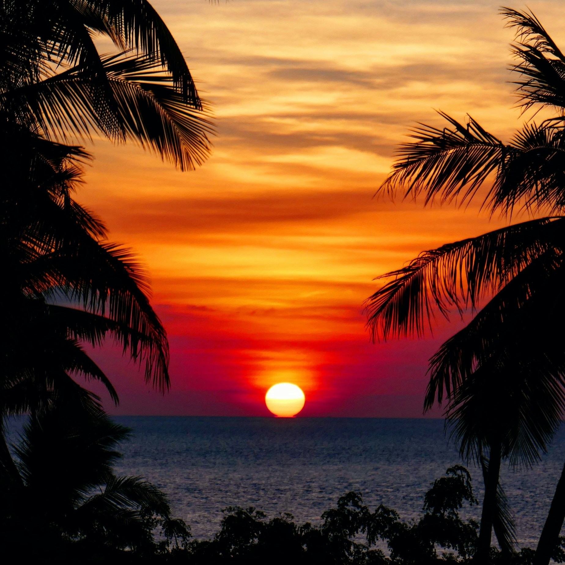 Zum Profil von Niels van Altena