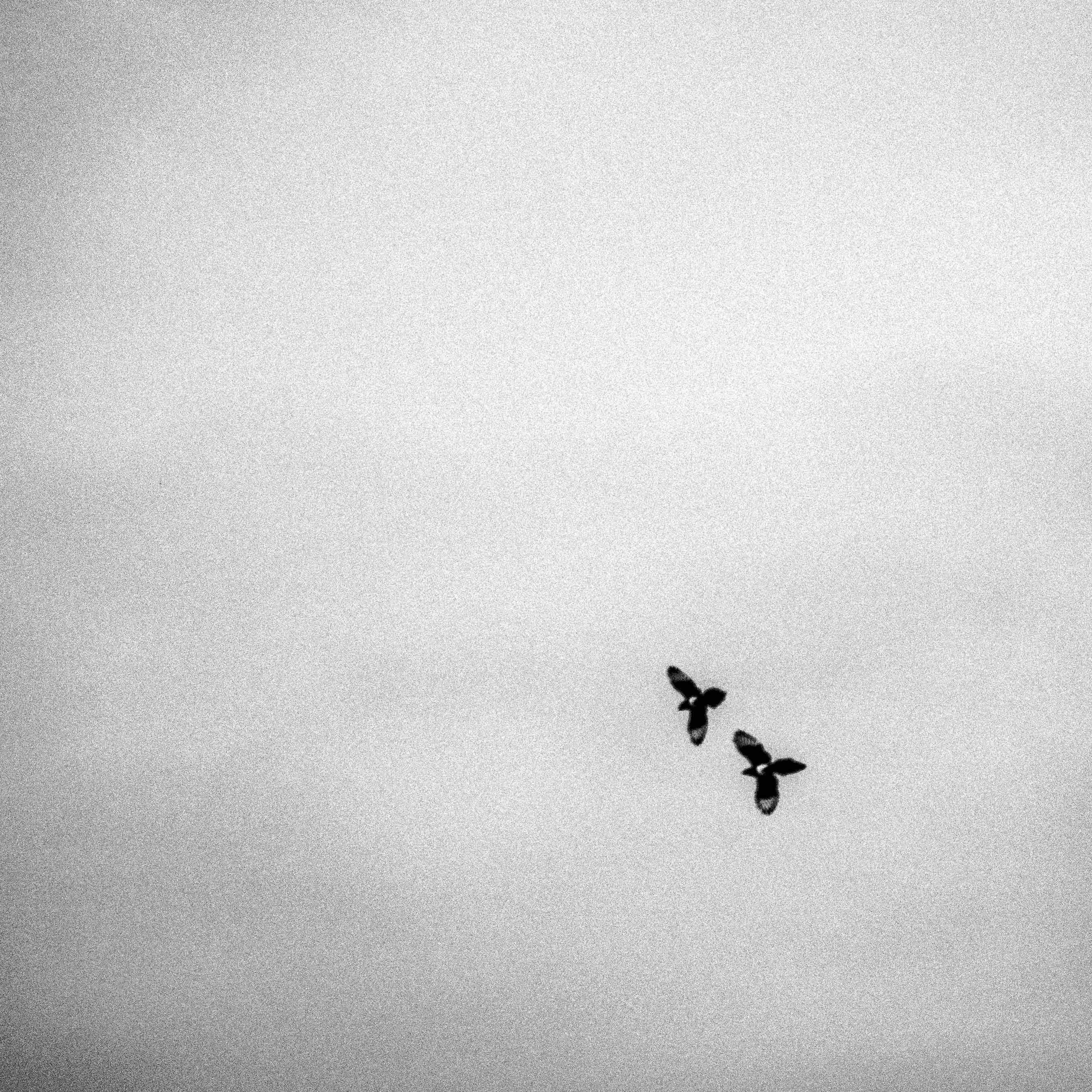 Go to Richard's profile