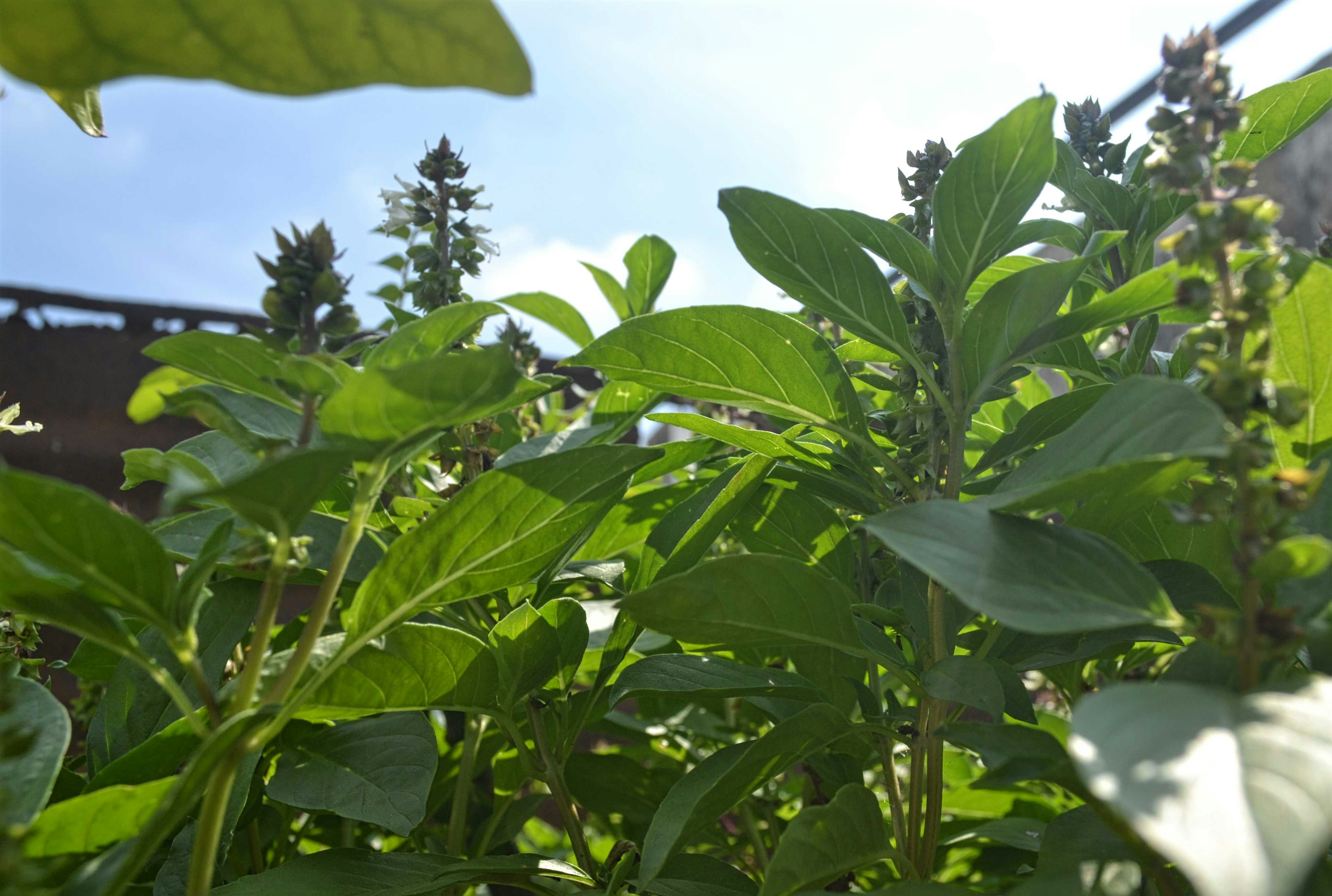 Go to Danachezhian S's profile