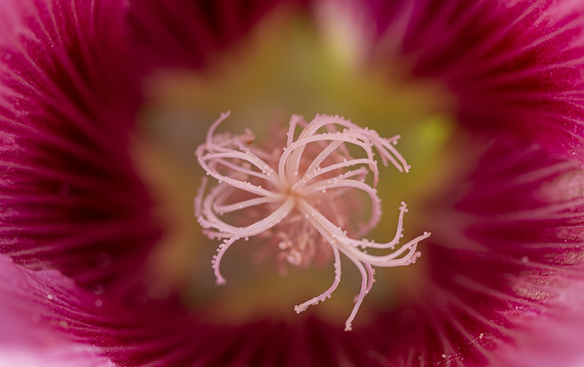 Go to Jack van der Spoel's profile