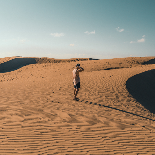 Ir para o perfil de Melvin M