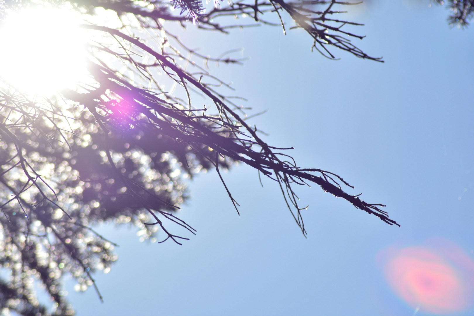 Go to Abbie Chohrach's profile