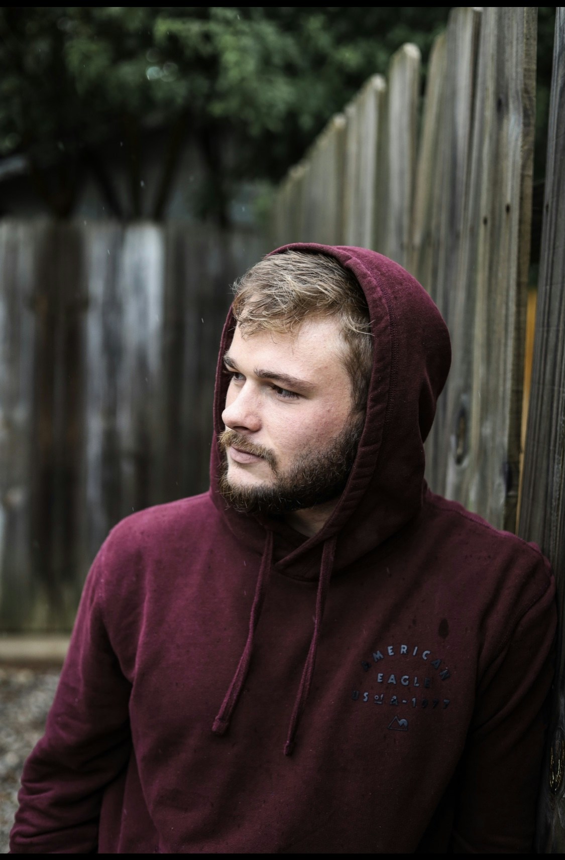 Go to Austin Tate's profile