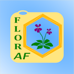 Avatar of user Floraf