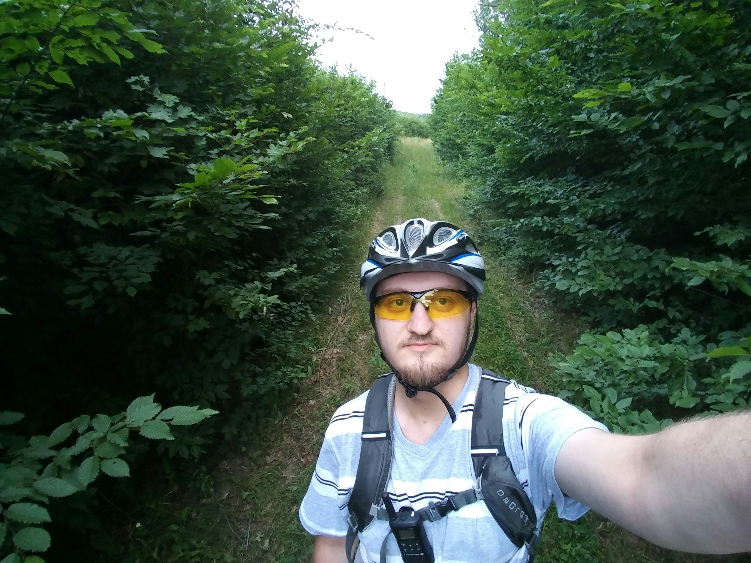 Avatar of user Serghei Adam