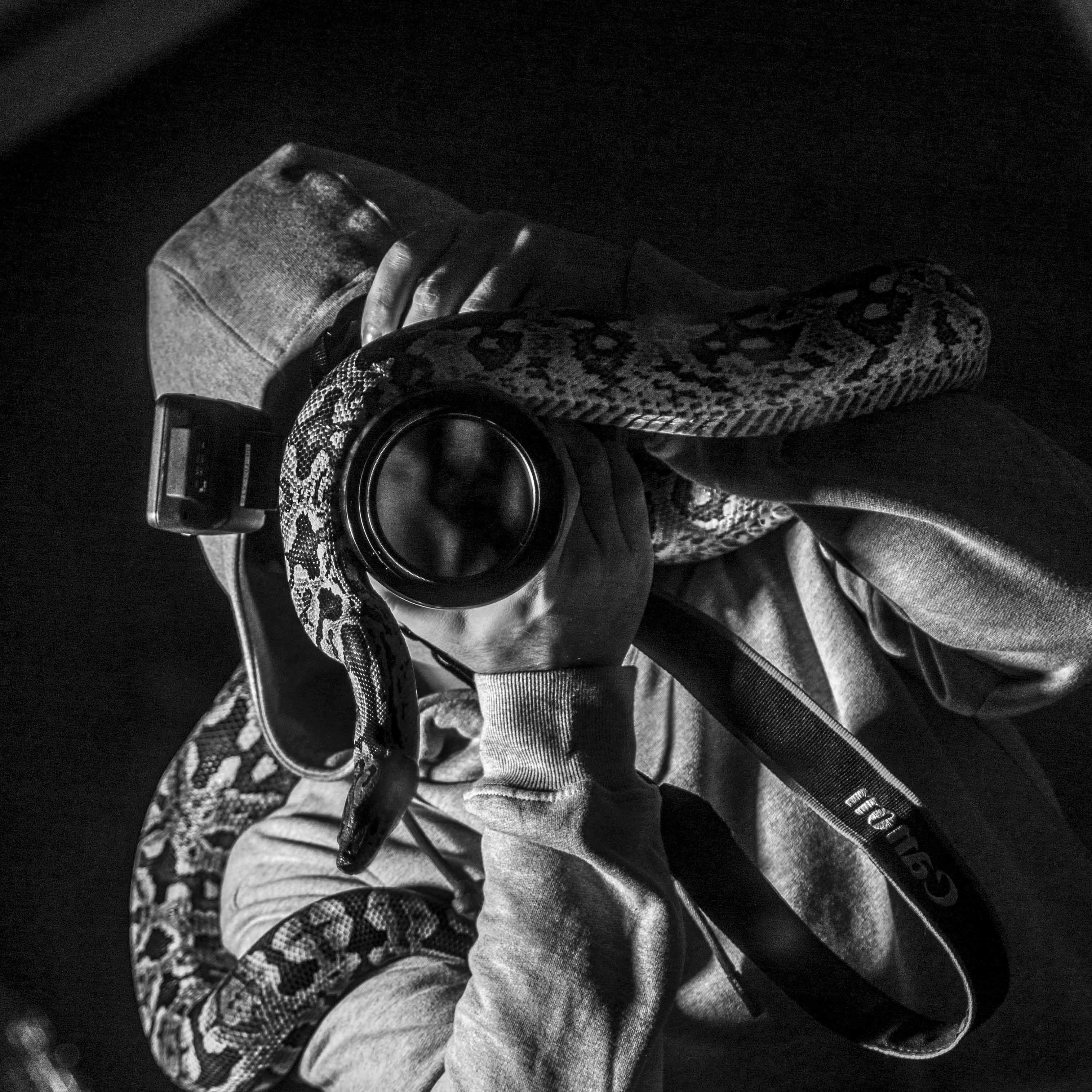 Zum Profil von Arash Khorramgah