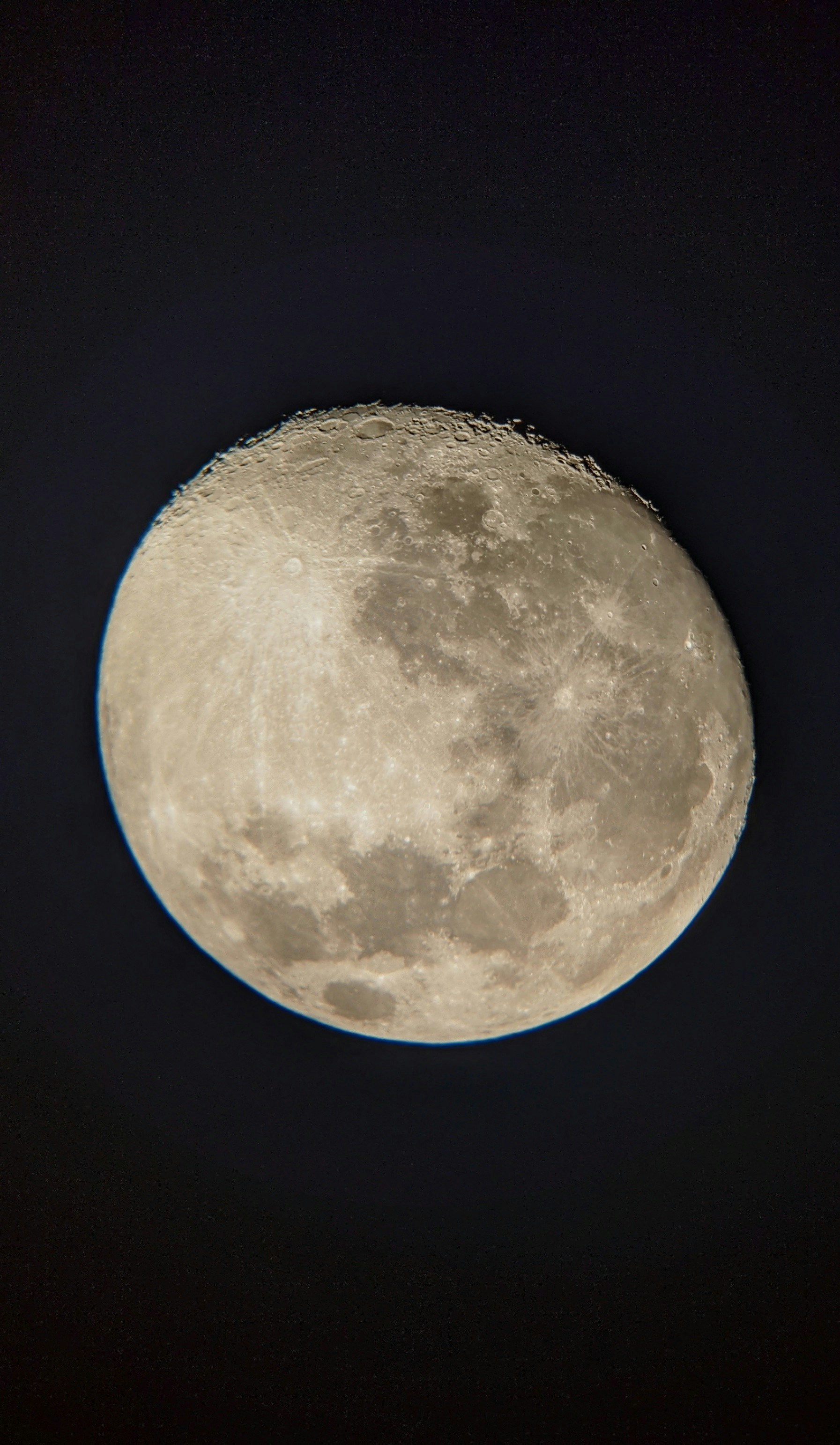 Go to Brock Koch Nichol's profile