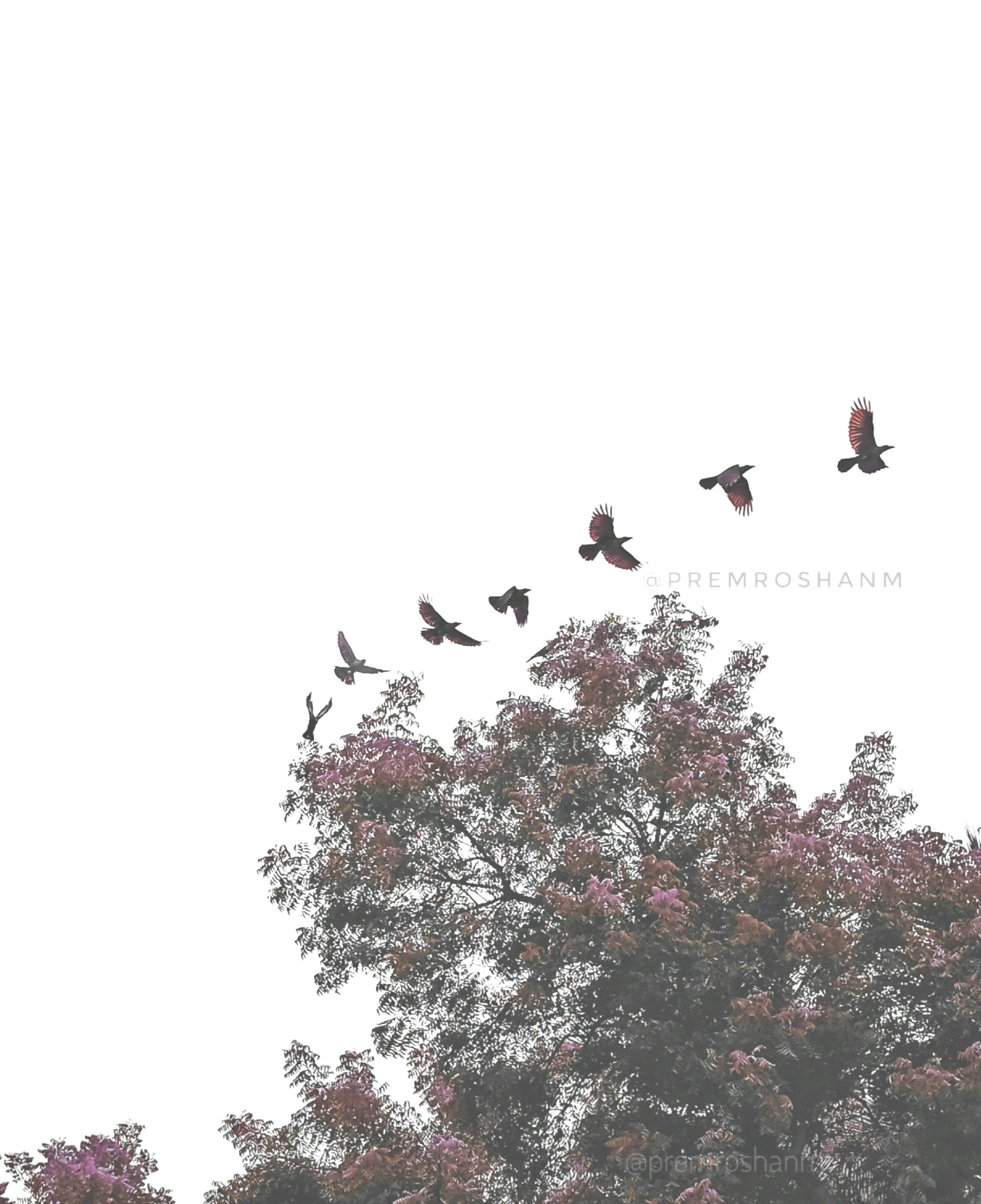 Ir para o perfil de Lost Minute