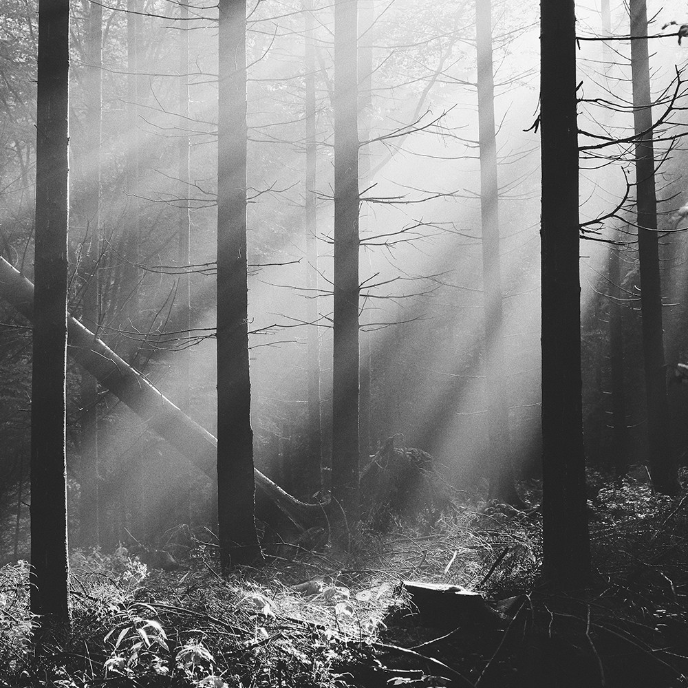 Go to Marek Szturc's profile