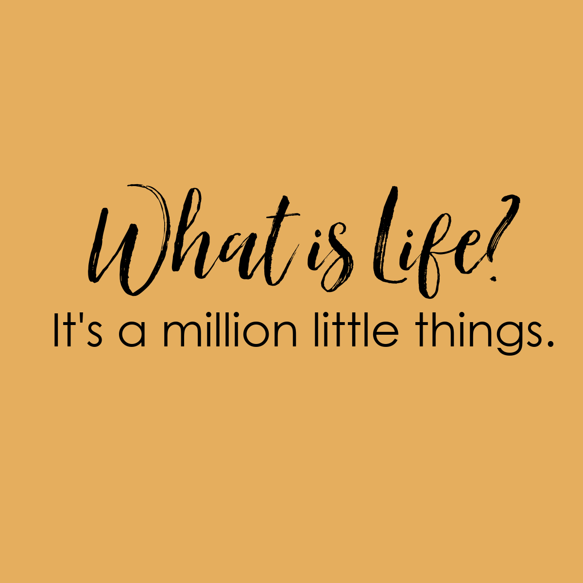 Go to Cindie Hansen's profile