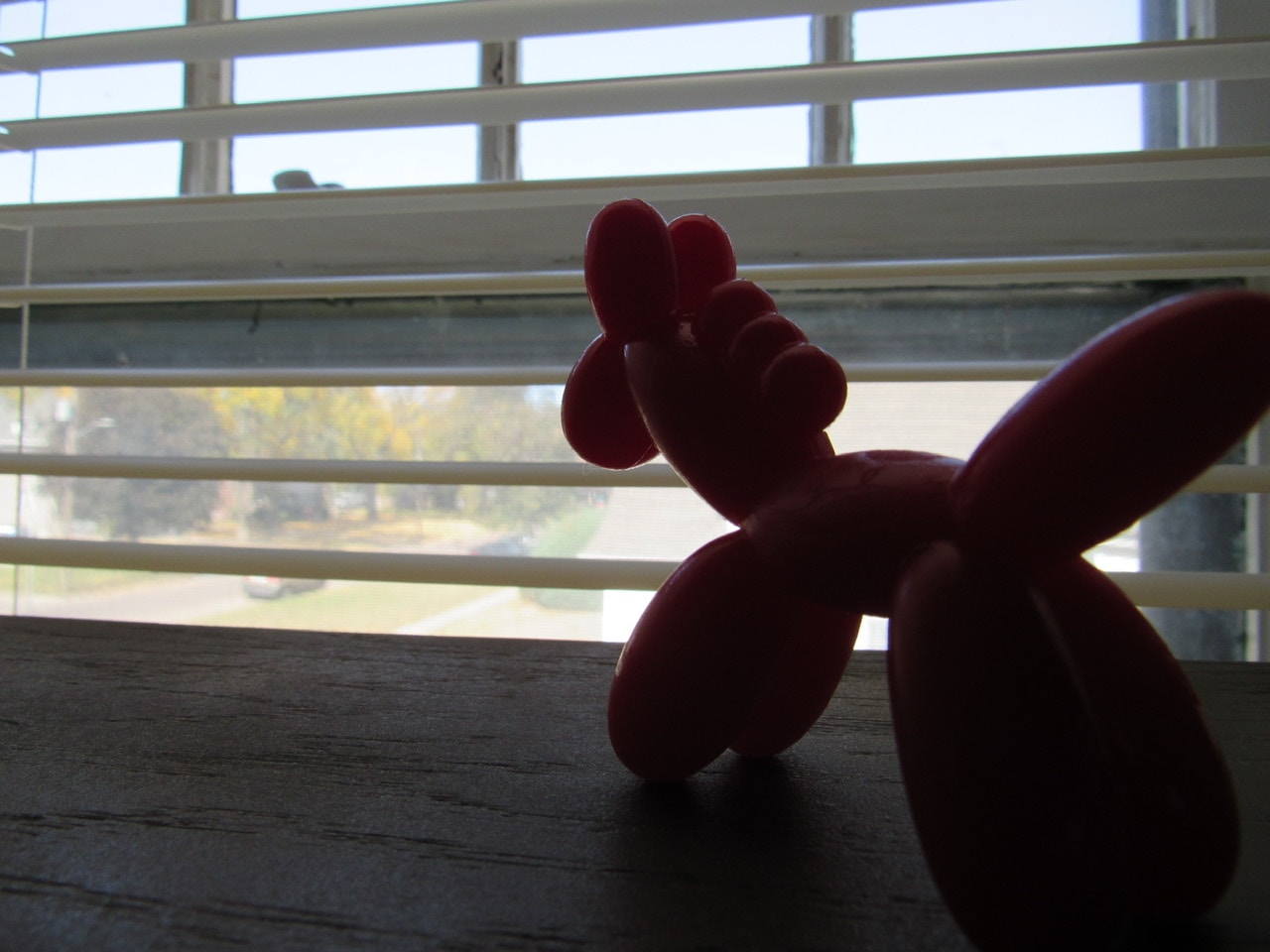 Tim Buschのプロフィールを見る