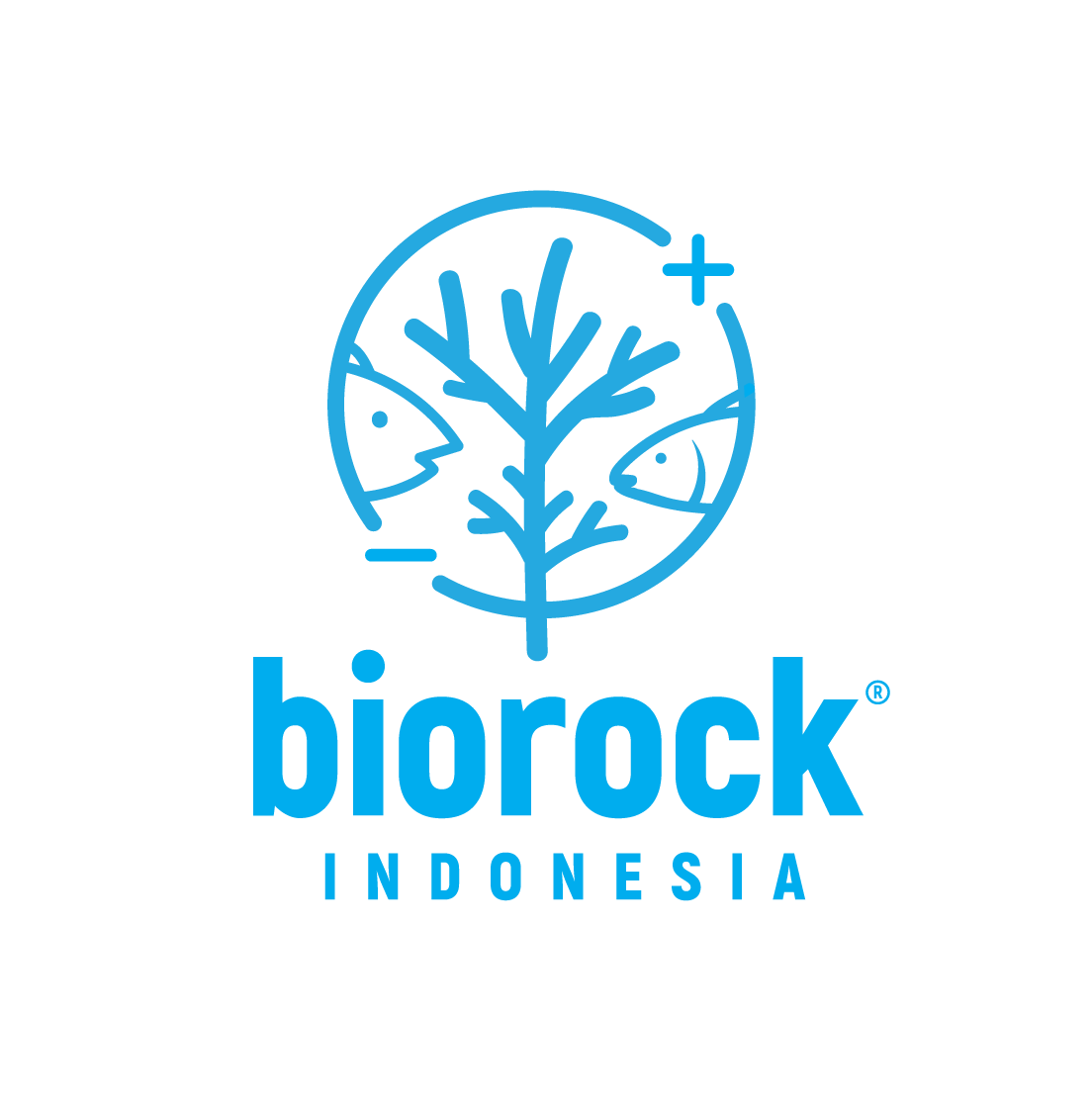 Vai al profilo di Biorock Indonesia