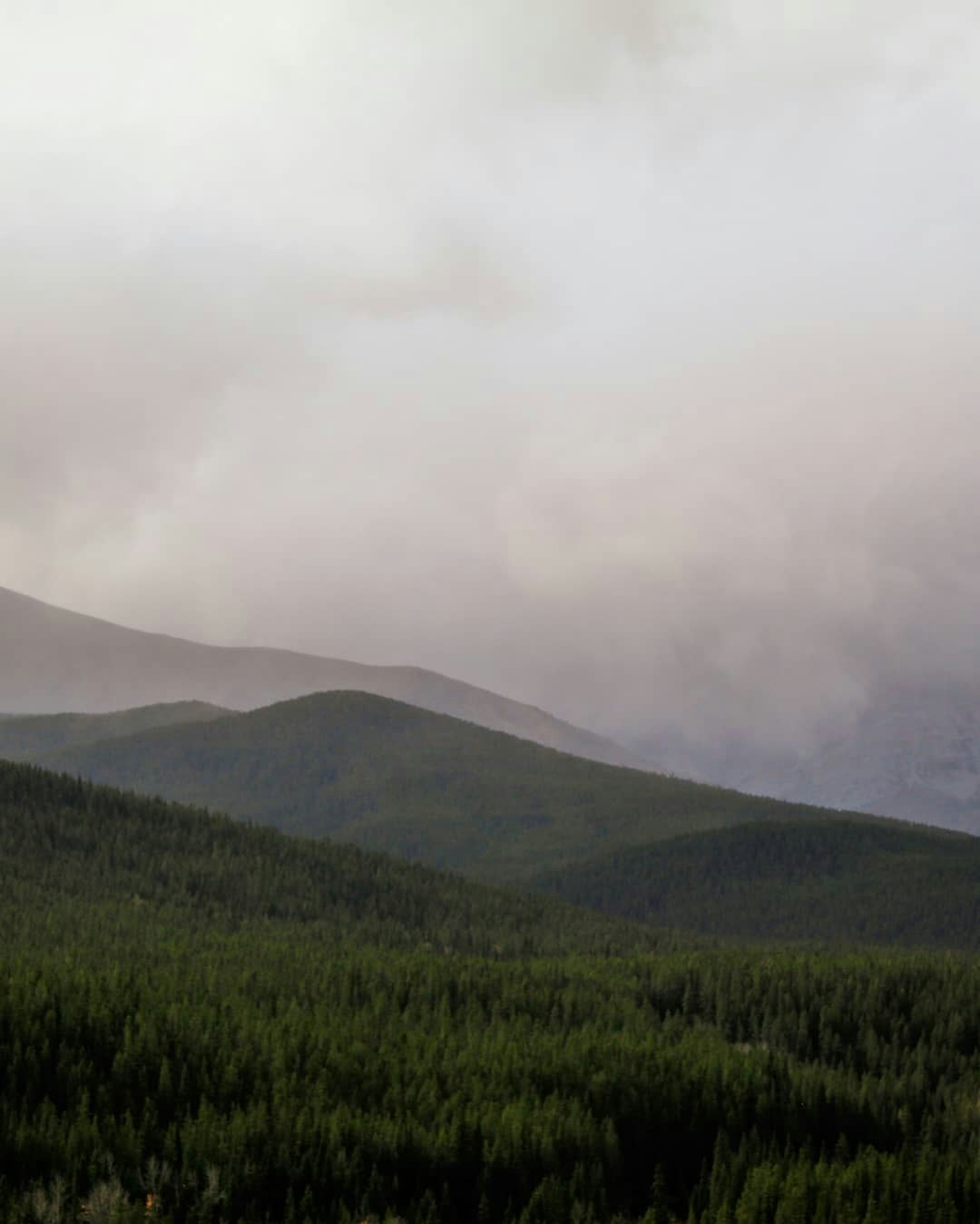 Go to Dominick Valencia's profile