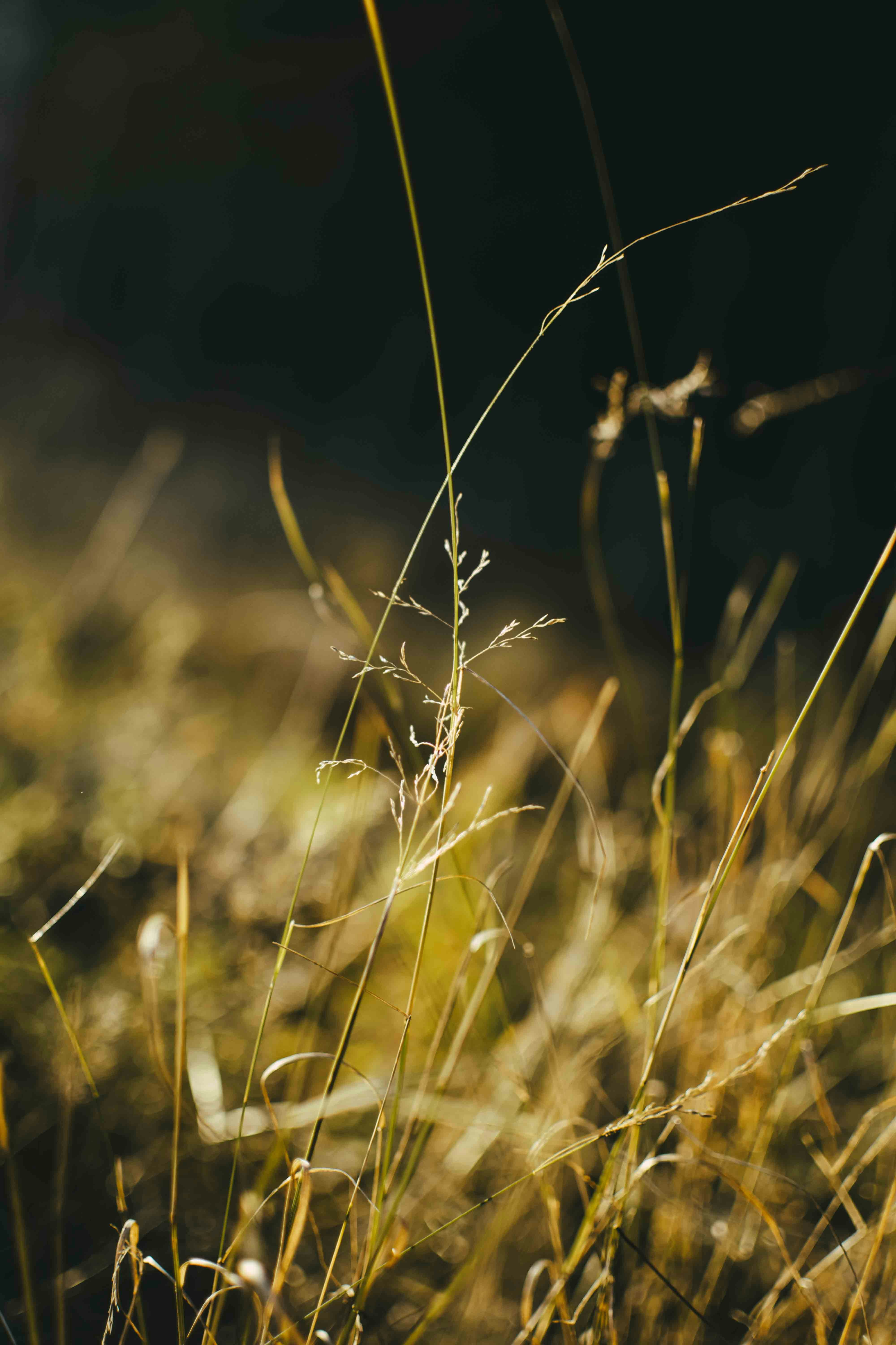 Avatar of user Alicia Robert-Tousignant