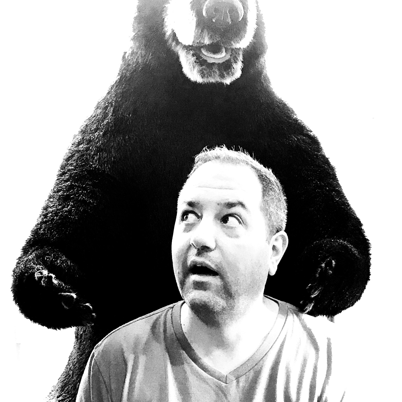 Go to Christopher Previte's profile