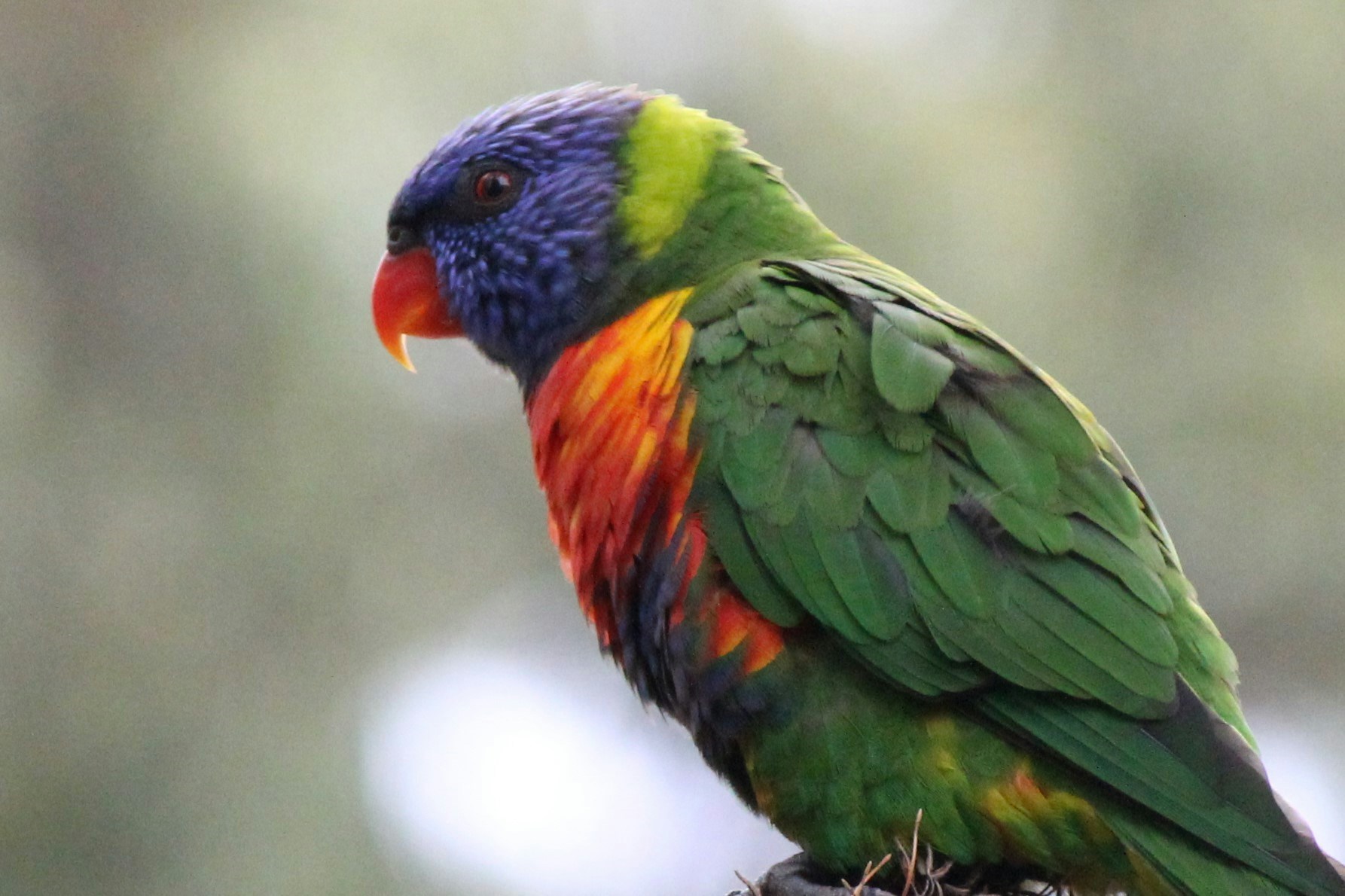 Go to N Storey's profile