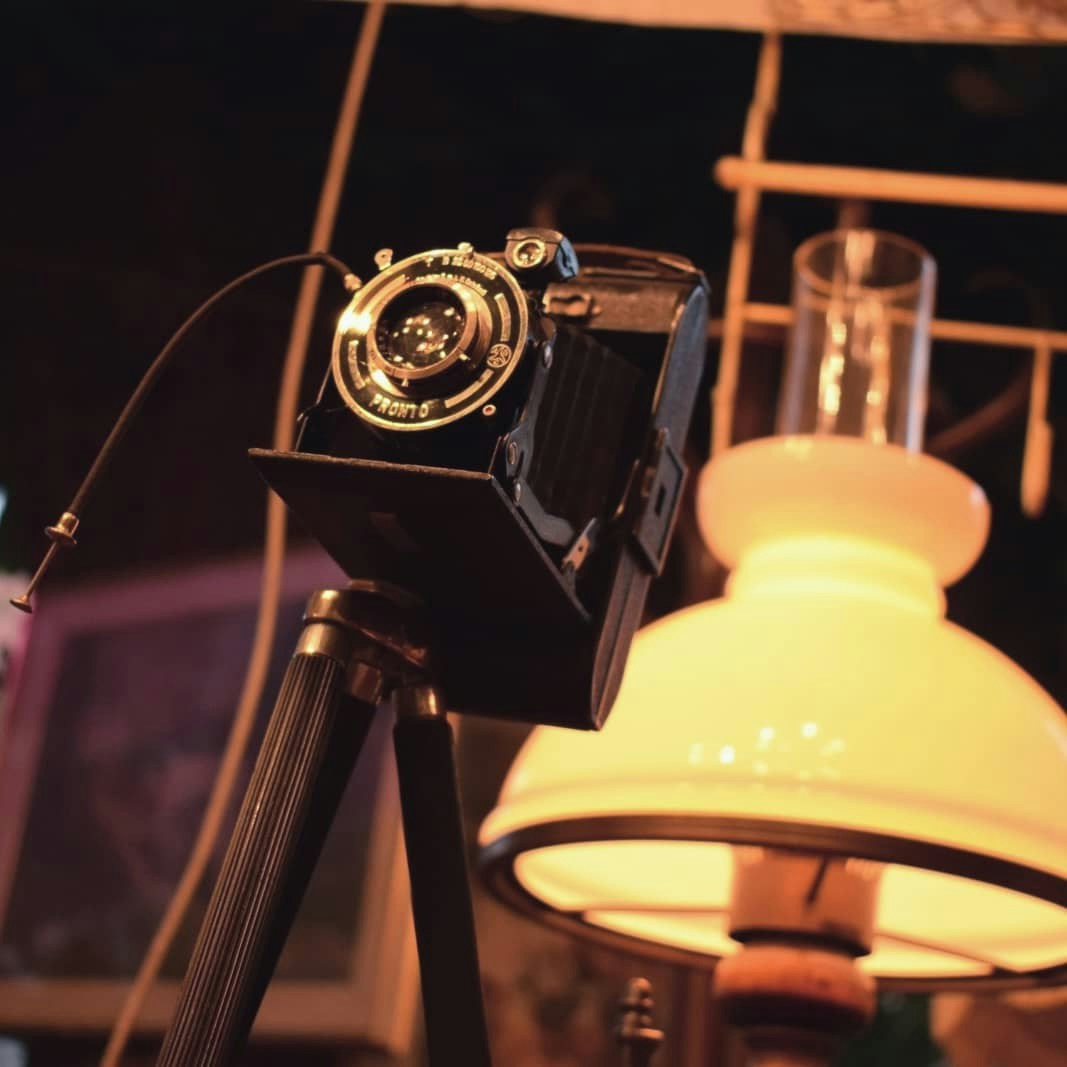 Vai al profilo di Andrei Carina