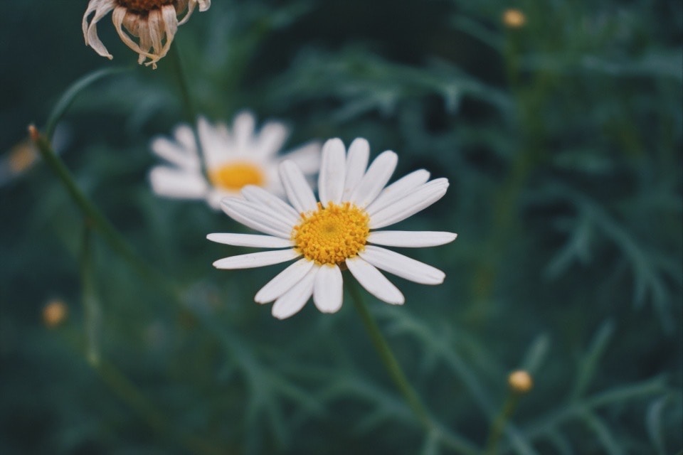 Go to Kira Low's profile