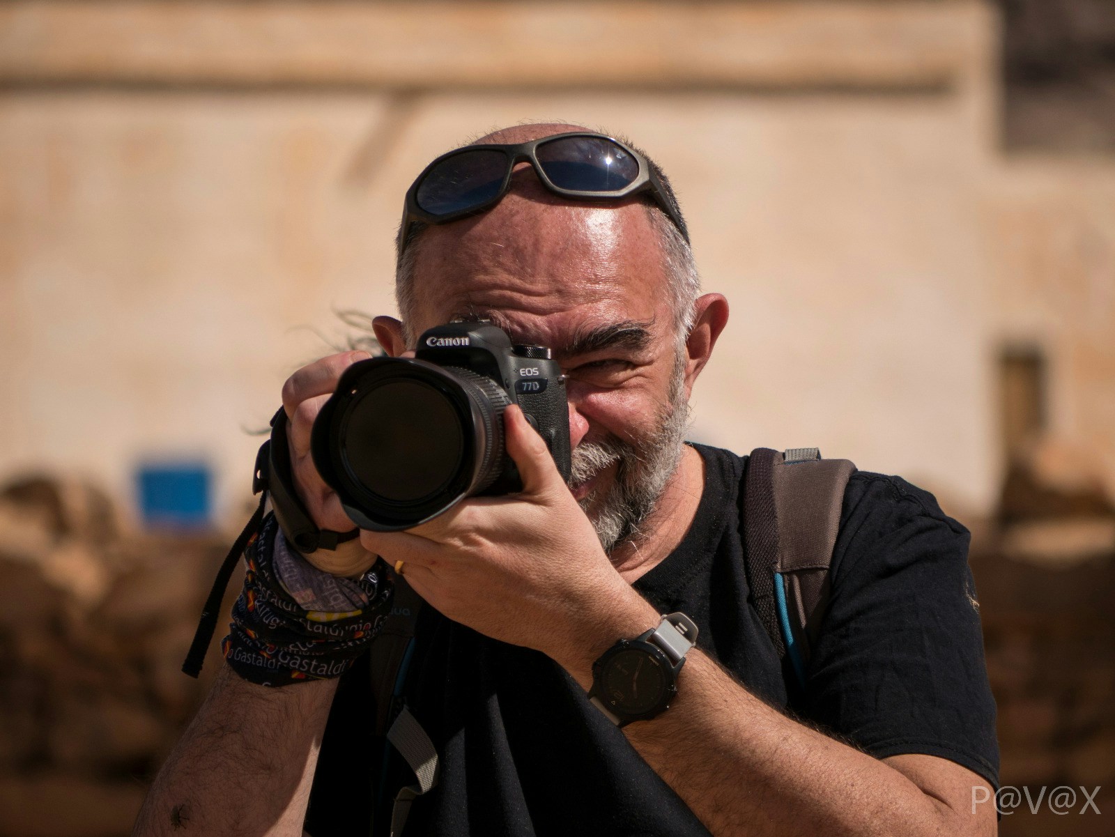 Avatar of user Renato Brazioli