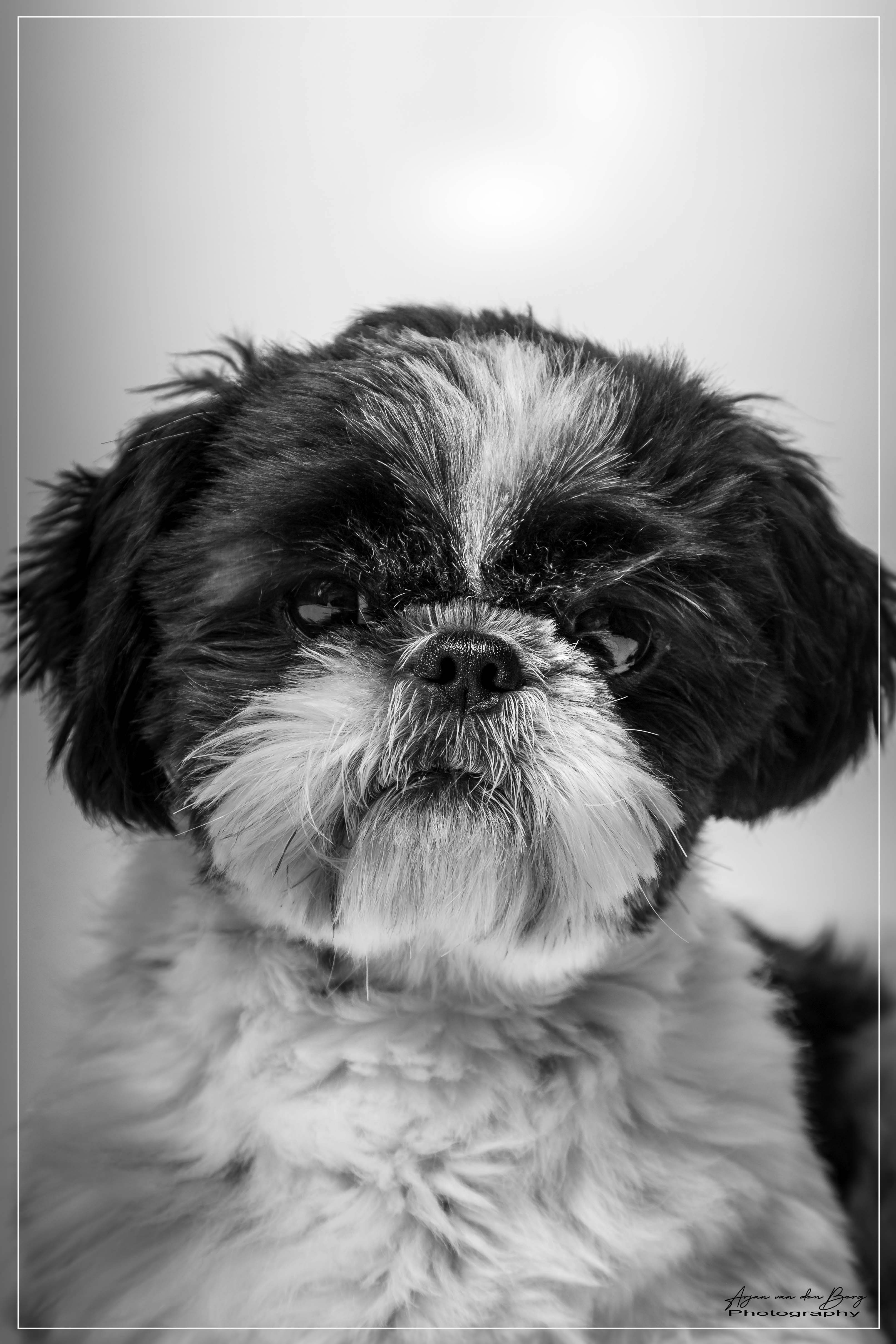 Accéder au profil de Arjan van den Berg