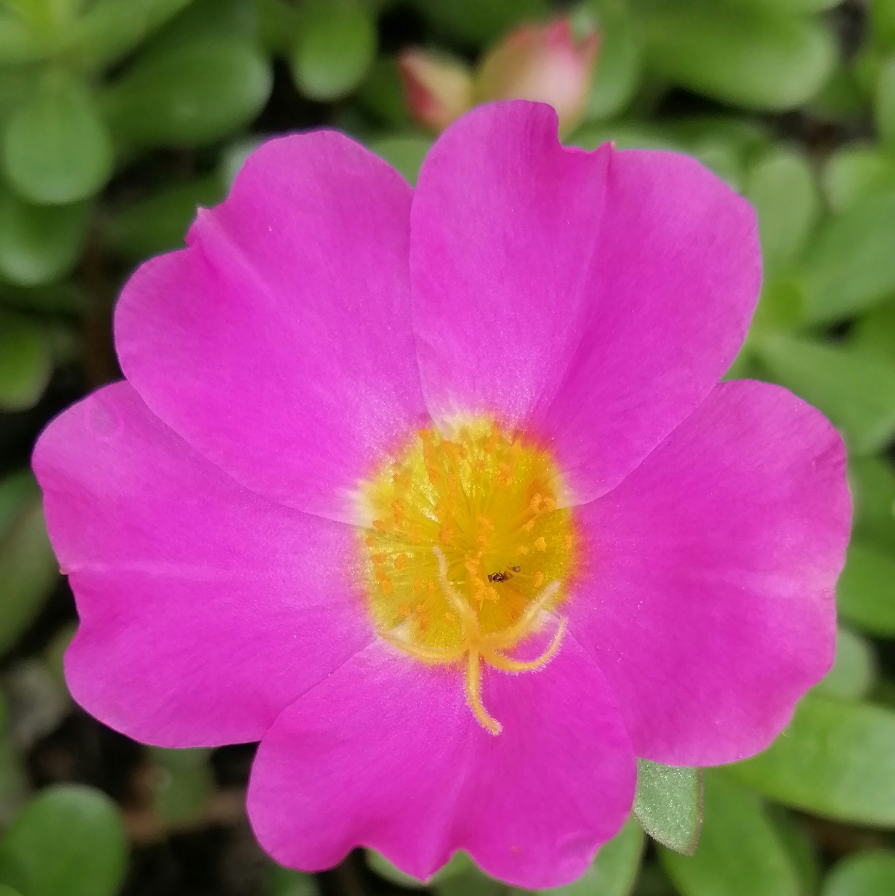 Go to Thirty First's profile