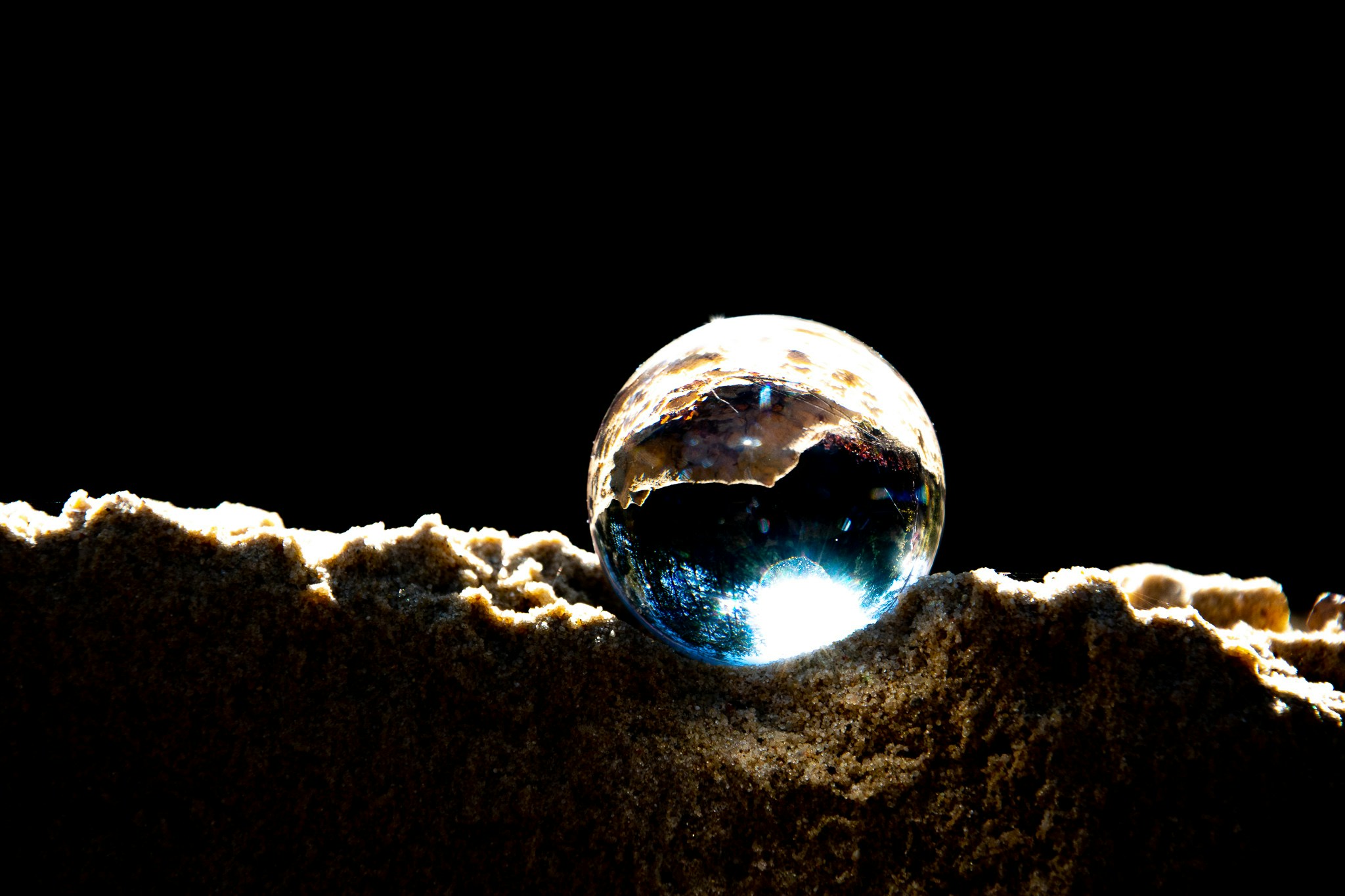 Avatar of user Wioletta Płonkowska