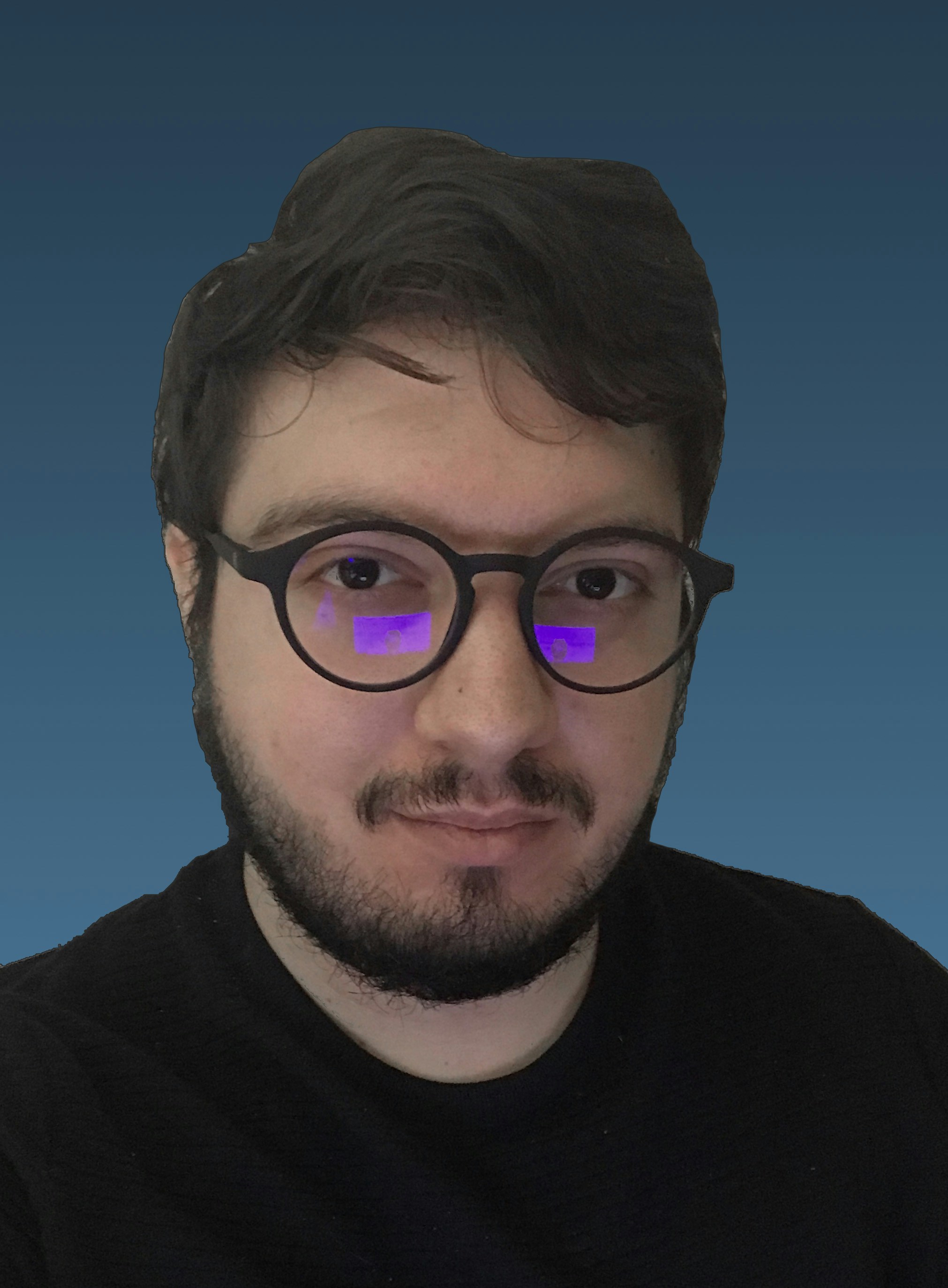 Go to Denis Pavlovic's profile