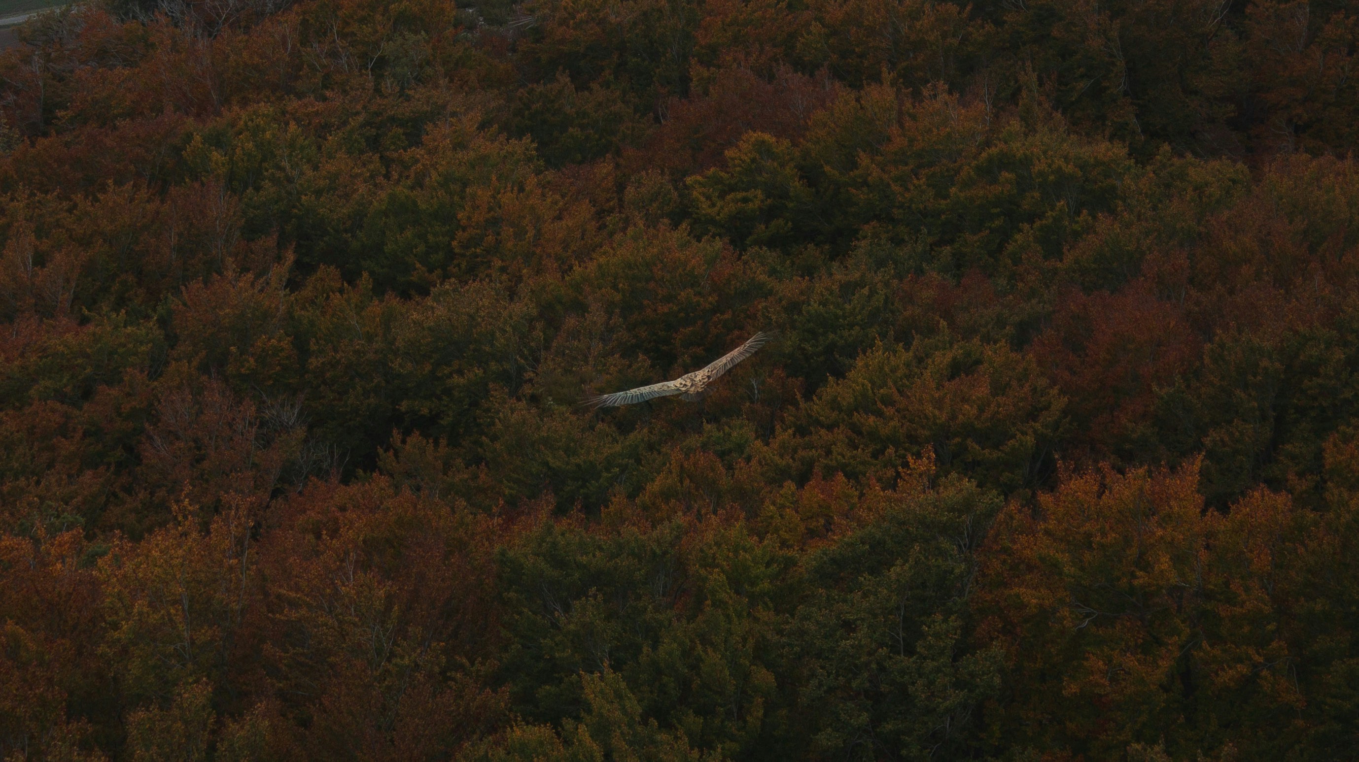 Go to Juan Goyache's profile