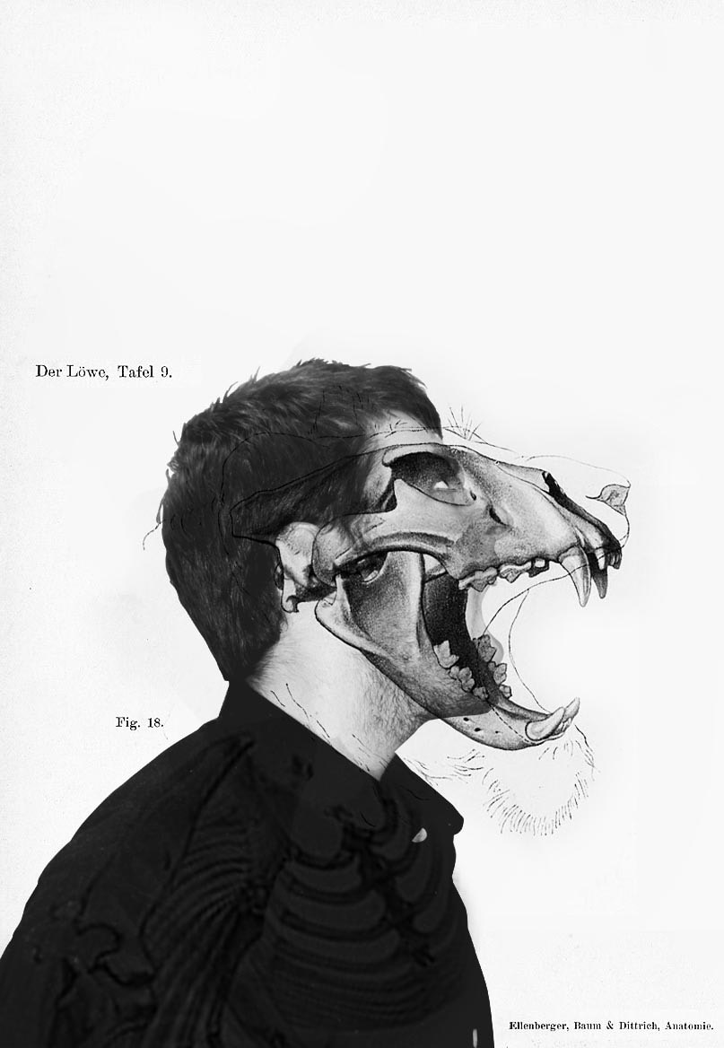 Go to Pavel S's profile