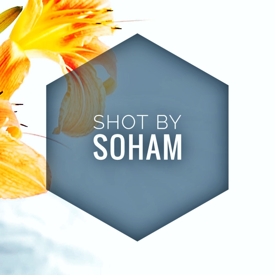 Go to Soham Prajapati's profile