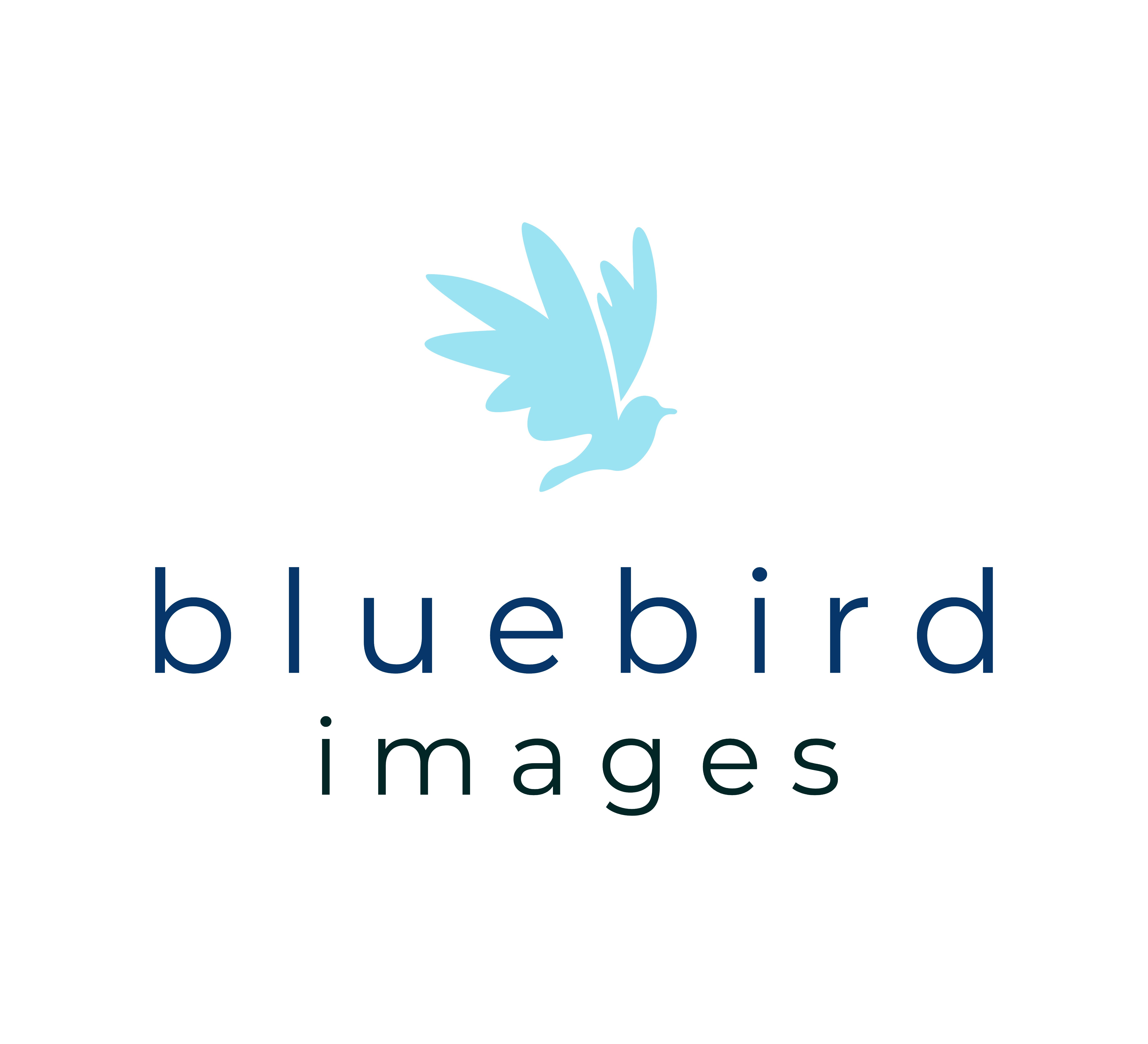 Go to Bluebird Images's profile