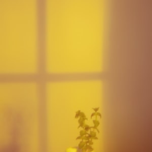 Go to Elsa Donald's profile