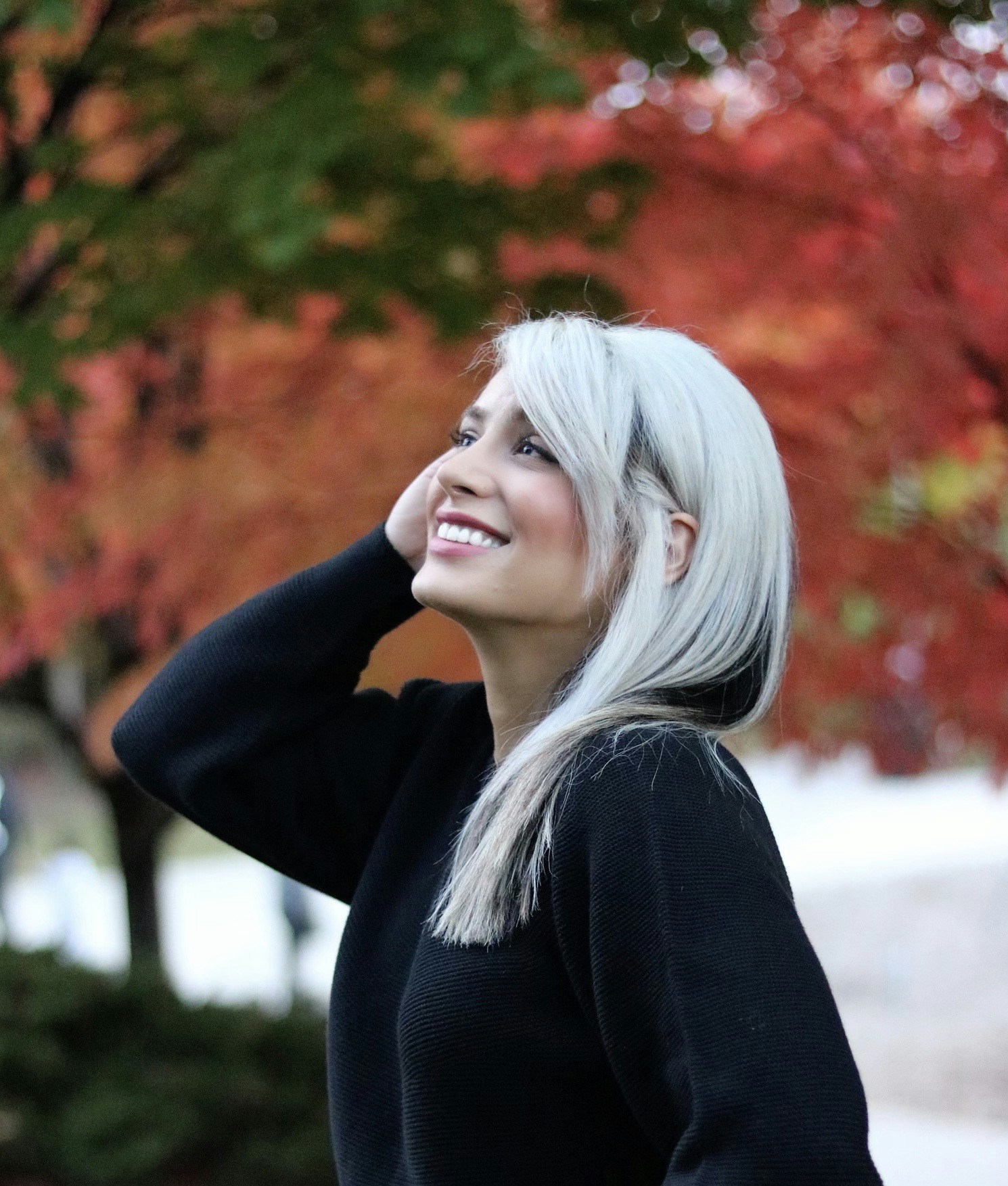 Accéder au profil de Setareh Nezami